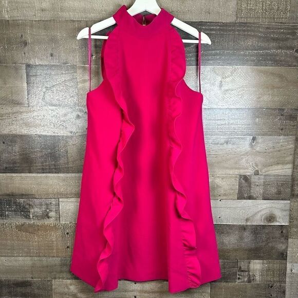 Ted Baker Women’s Size 4 Torriya Dress Hot Pink Fuschia Ruffle A Line High Neck